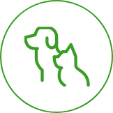 ペットと一緒に眠れるお墓あり